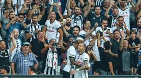 Beşiktaş taraftarının dikkatine!