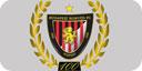 Honved 100. yılını kutluyor